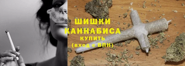 индика Белокуриха