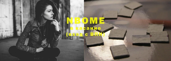 индика Белокуриха