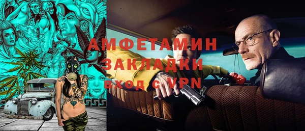 индика Белокуриха