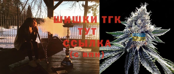 индика Белокуриха