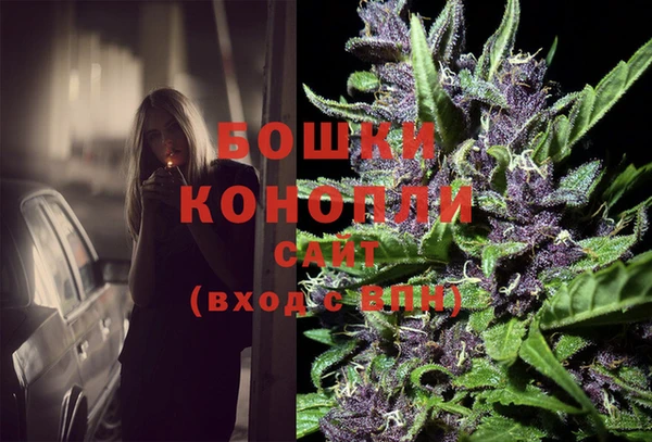 индика Белокуриха