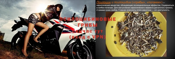 индика Белокуриха