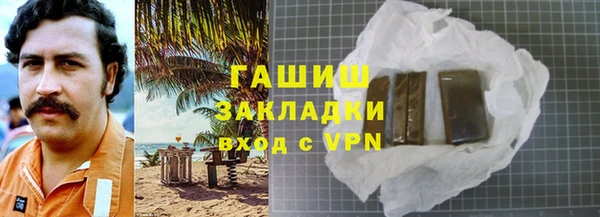 индика Белокуриха