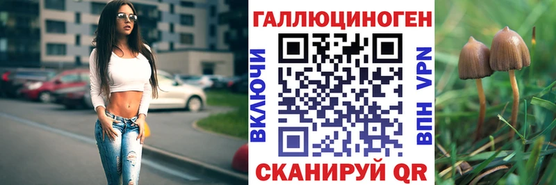 мега ТОР  цены наркотик  Ершов  Псилоцибиновые грибы Psilocybine cubensis 